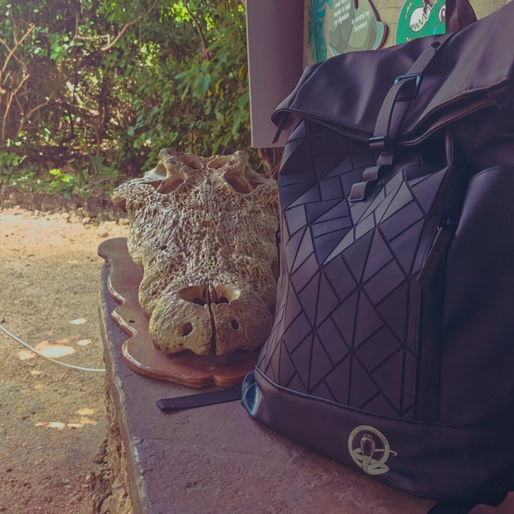 SilentStrike Rolltop Backpack