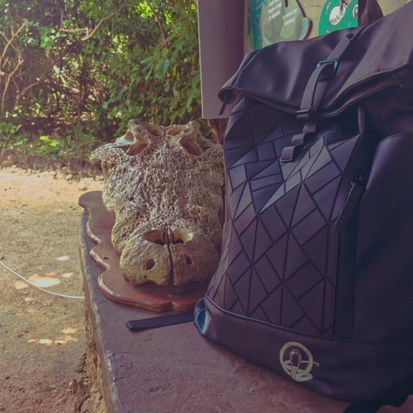 SilentStrike Rolltop Backpack
