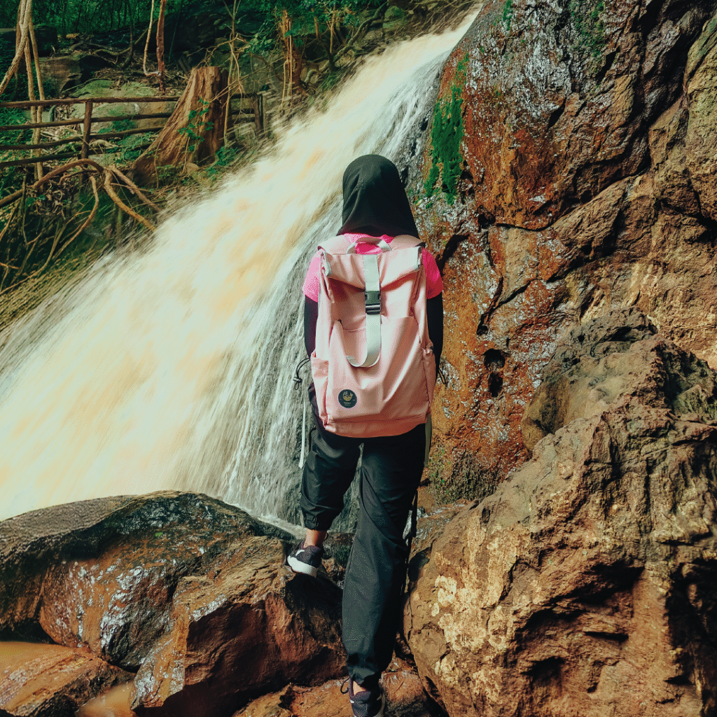 Pinkbloom Rolltop Backpack