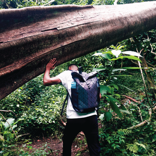 SkyDancer Rolltop Backpack