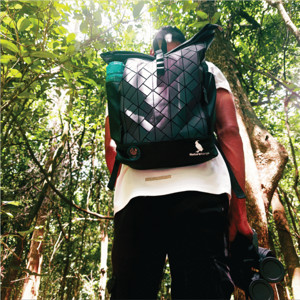 Backpacks